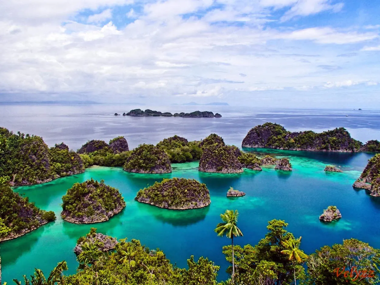 Tips Traveling Raja Ampat: Panduan Wisata Selam Kelas Dunia