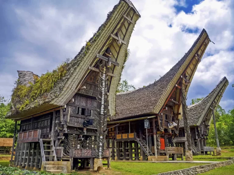 Tips Traveling Tana Toraja: Menyaksikan Tradisi Unik di Sulawesi Selatan