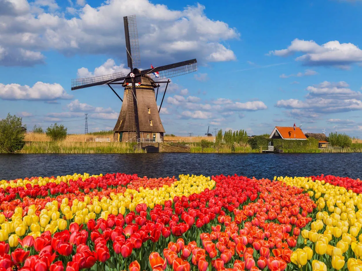 Tips for Traveling in Amsterdam: Canals, Bicycles, and Tulips