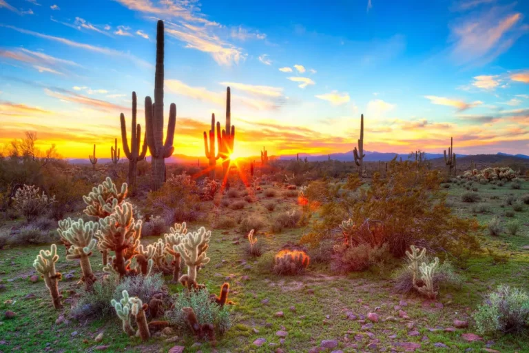 Tips for Traveling in Arizona: Desert Beauty and Cultural Treasures