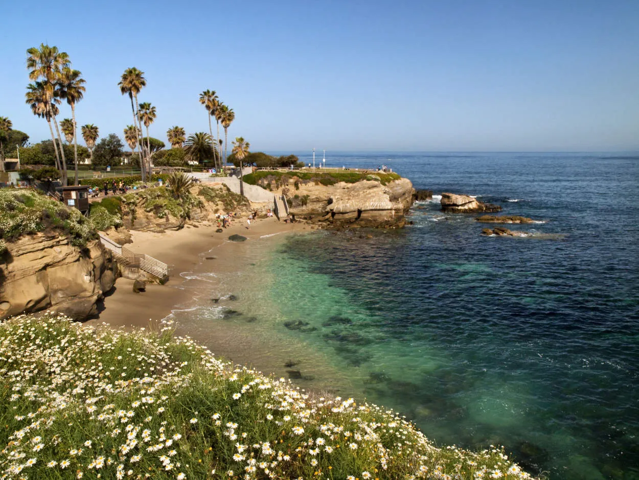 Tips for Traveling in San Diego: Sunny Adventures on the West Coast