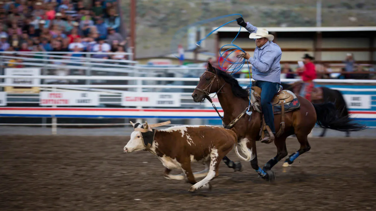 Tips for Traveling in Wyoming: National Parks and Cowboy Culture